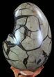 Septarian Dragon Egg Geode - Black Crystals #67784-3
